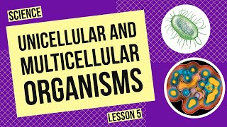 Unicellular and Multicellular Organisms [upl. by Ettenad]