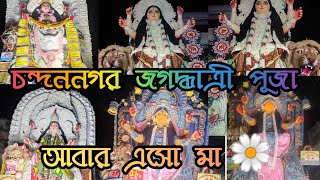 Chandannagar jagadhatri puja 2k24 bisorjonchandannagarjagaddhatripuja jagadhatripuja ytviralshort [upl. by Penn]