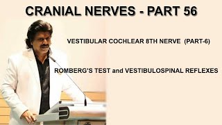 CRANIAL NERVES PART 568TH NERVE PART6 ROMBERG’S TEST and VESTIBULOSPINAL REFLEXES [upl. by Dorahs805]