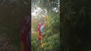 viral Rajasthani jatni Status video instagram trending reel Rajasthani culture [upl. by Talya]