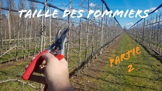 Taille des pommiers en haute densité 2ème partie [upl. by Hamish699]