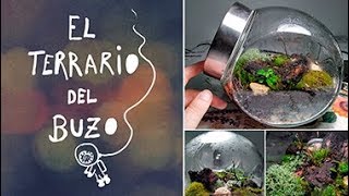 DIY Tutorial Terrario eterno paso a paso  El terrario del buzo [upl. by Gyatt456]