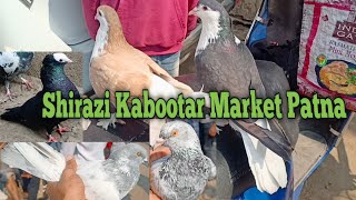 Shirazi Kabootar Market Patna pigeon fancy market [upl. by Sitra]