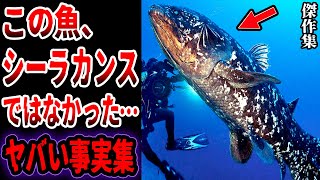 【総集編】シーラカンスは絶滅していた…眠れないほど面白い古代生物のヤバい事実と謎【ゆっくり解説】【生きた化石】 [upl. by Aivul472]