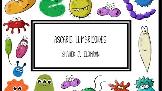 Ascaris Lumbricoides [upl. by Reppep784]