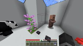 Cellular Respiration in Minecraft [upl. by Aleahpar]