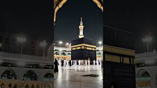 Noor for haifarhan Ali qadri IslamicshortsfreepalestineislamicviralvideoFor before [upl. by Magdaia]