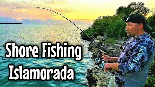 CRAZY FUN Shore Fishing the SPORT FISHING CAPITAL OF THE WORLD Islamorada Florida [upl. by Oraneg]