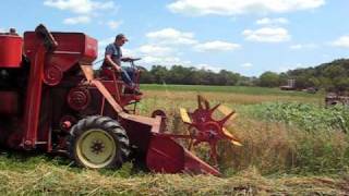 Massey Harris 35 combine in oats [upl. by Naesal763]