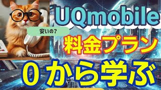 【徹底解説】複雑なスマホ料金プランを分かりやすく解説【UQmobile】 [upl. by Sahcnip229]