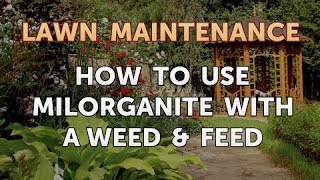 How to Use Milorganite With a Weed amp Feed [upl. by Lemieux]