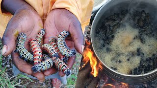 MOPANE WORMS STEW  Cooking amp Eating Dried Mopane Worms [upl. by Felicdad]