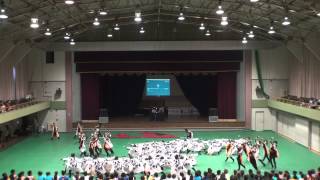 2014 5 31 犬山踊芸祭 よさディスコ 名古屋学生チーム『鯱』 [upl. by Jorge]