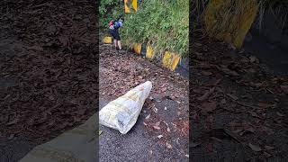 Plogging hike to penang hill satisfying adventure asmr plogging shortvideo youtubeshort [upl. by Ahsinet244]