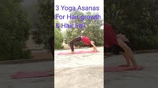 3 Yoga Asanas For Hair Growth amp Hair Fall fitness motivation yoga yogaworkout asana healthy [upl. by Annahsirhc]