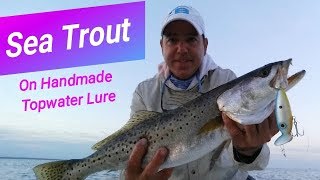 Sea Trout on Topwater OneofaKind Lure [upl. by Lednek4]