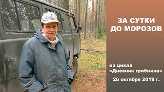 За сутки до морозов и снега Дневник грибника 26 октября 2019 [upl. by Eiznikam]