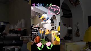 열 일하는 오리🍊🍑 a working duck음료수 만드는 중 [upl. by Gwynne353]