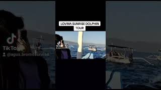 LOVINA SUNRISE DOLPHIN TOUR abstravelbali [upl. by Farleigh]