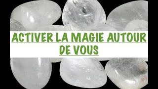 COMMENT ACTIVER LA MAGIE AUTOUR DE VOUS LA CONSCIENCE DU VIVANT FACE À LARTIFICIALISATION DU MONDE [upl. by Yrevi]