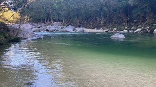 A Quick Look at Mossman gorge [upl. by Nylsirk834]