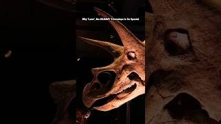 Why quotLanequot the MUMMY Triceratops is so incredibly special [upl. by Sileray]