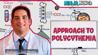 CBC  Approach to Polycythemia [upl. by Cori]