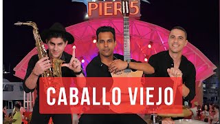 Caballo Viejo  Monta Mi Caballo Cover  Latin Time  Live [upl. by Minardi343]