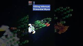 Killing Primordial Wyrm in Infernum terraria gaming calamity infernum [upl. by Norym521]