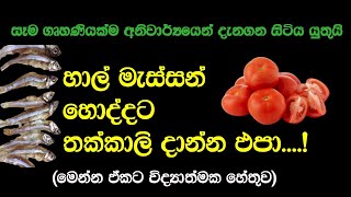 හාල් මැස්සො හොද්දට වැරදිලාවත් තක්කාලි දාන්න එපා  Dont Mix Tomatoes With Sprats Curry [upl. by Scully]