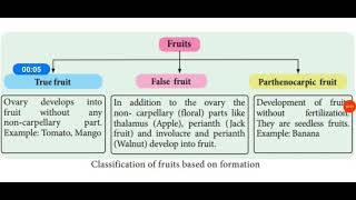 Types of fruit based on development True Fruits False FruitsParthenocarpic fruits [upl. by Nalon]