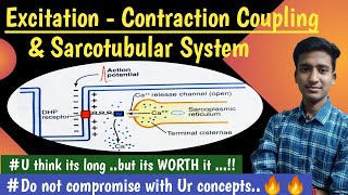 Sarcotubular System ExcitationContraction Coupling Nerve Muscle Physiology  hindi  Ashish [upl. by Athalie]