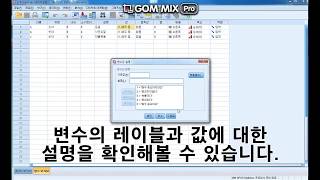 SPSS 강의  신뢰도 분석 [upl. by Calle]