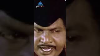 ஏய் டகால்டியா Maman Magal Comedy Scenes  Manivannan  Goundamani  Sathyaraj  YTShorts [upl. by Afnin541]