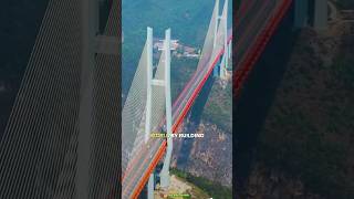 Tallest bridge in the world trendingfacts facts amazingfactschannel [upl. by Cleveland167]