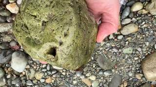 Wow what amazing finds 😊this green druzy epidote looking thing and what I suspect is that cinnabar [upl. by Elnore981]