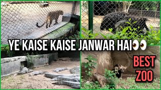 Best Zoo  Gwalior Zoo  MP Zoo  chidiya Ghar  Zoo  MP Zoo Tour  Zoo Vlog  Tour 🔥 [upl. by Kirad551]