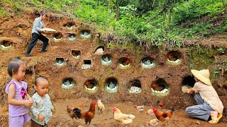 Dig Many Nests For Chickens To Lay Eggs  Harvest Many Chicken Eggs To Sell  Ly Phuc Binh [upl. by Winny]