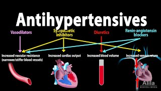 Antihypertensive Medications  Pharmacology Animation [upl. by Ainelec]