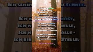 Emotionaler Spruch Was zum nachdenken [upl. by Stu]