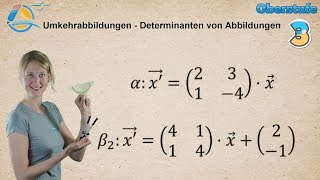 Determinanten von Abbildungen  Umkehrabbildungen berechnen  Gymnasium Übung 3 [upl. by Gunther]