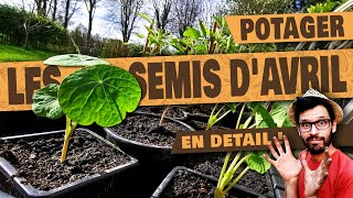 COMMENT SEMER le Basilic Les Carottes Les Courgettes Courges Concombre Les haricots Les panais [upl. by Nisay315]