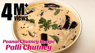 Palli Chutney  Peanut Chutney Recipe  How to make Chutney  Hyderabadi Ruchulu [upl. by Nadine929]