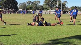 Tobiass Bass High Rugby League highlights 2024 CanterburyBankstown Bulldogs u14s Development [upl. by Doscher]