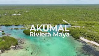 Descubre el paraíso Akumal Riviera Maya [upl. by Aneleiram]