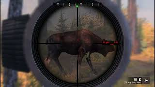 Cabelas Big Game Hunter Pro Hunts Moose  Deer Hunting games gaming gameplay viralgameplay [upl. by Wystand]