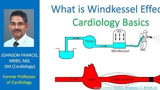 What is Windkessel effect Cardiology Basics [upl. by Anerhs]