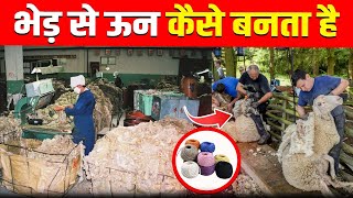 फैक्ट्री में भेड़ से ऊन निकालकर कपड़े कैसे बनाते हैं। How Wool is Made from Sheep  Fact Fiction [upl. by Akemat]