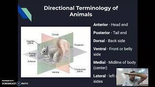 Unit 1 Sec 2  Animal Architecture III  Zoology [upl. by Rabin]