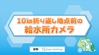 【10km折り返し】第42回瀬戸内海タートル・フルマラソン全国大会 [upl. by Asilenna189]